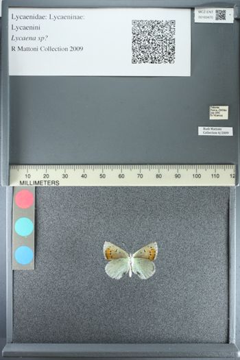 Media type: image;   Entomology 183470